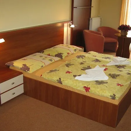 Hotel Palace Hotel Vysoke Tatry