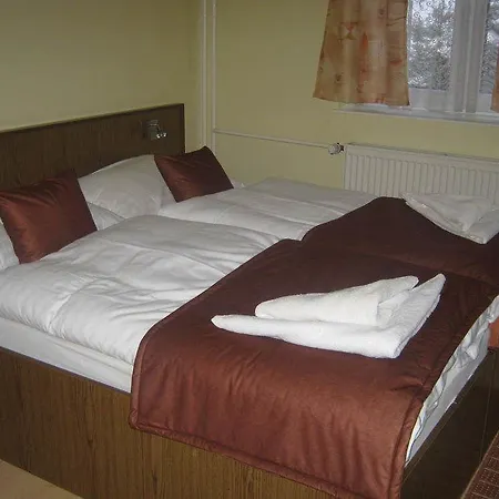 Hotel Palace 3* Vysoké Tatry