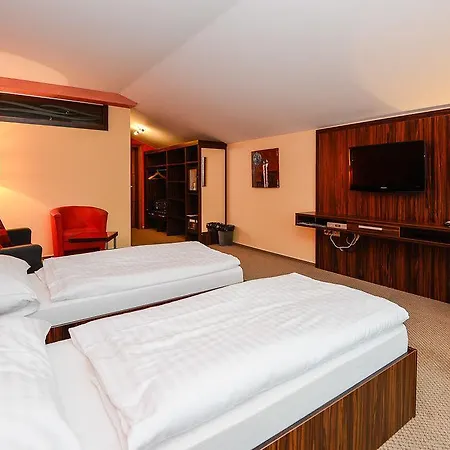 Hotel Palace 3* Vysoke Tatry