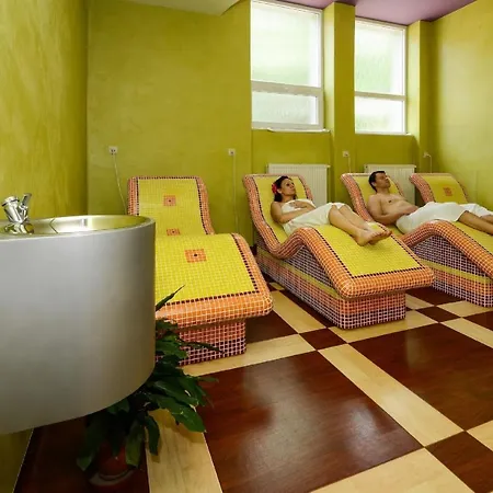 Hotel Palace 3* Vysoké Tatry