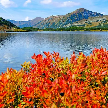 Hotel Palace Hotel Vysoké Tatry