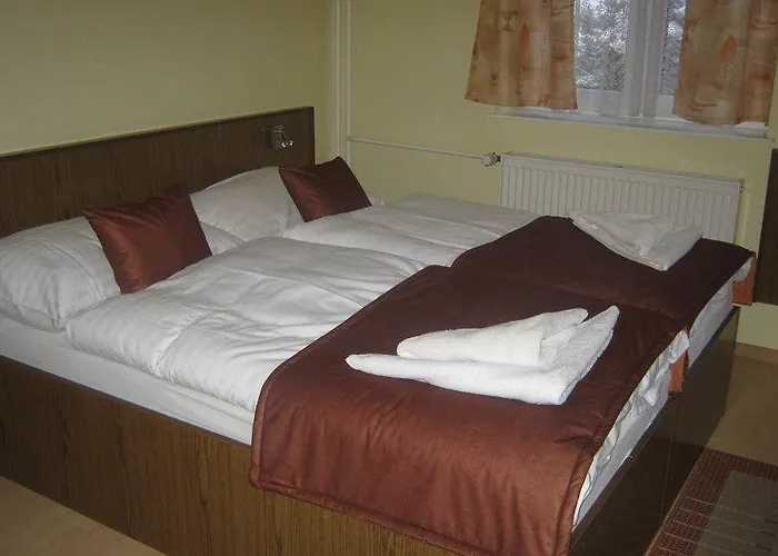 Hotel Palace 3* Vysoke Tatry