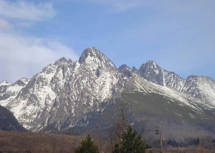 Hotel Hotel Palace Vysoke Tatry