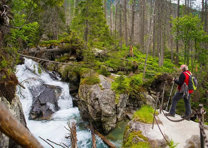 Hotel Palace Hotel 3*