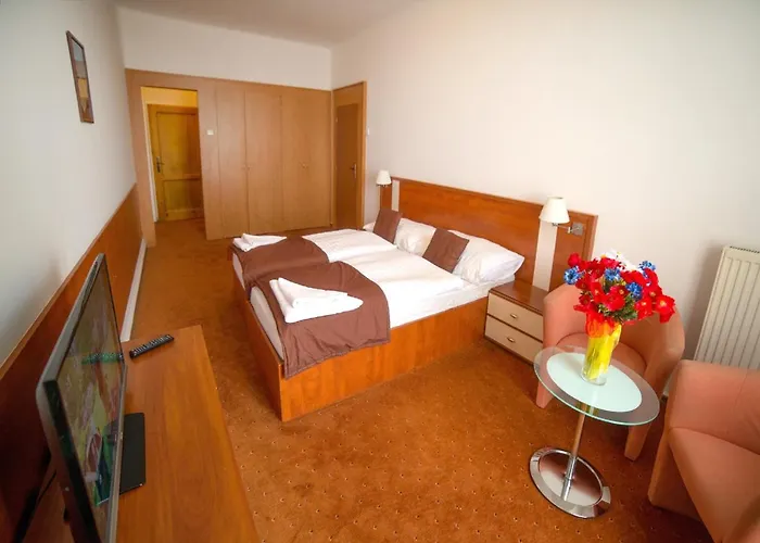 Hotel Palace 3* Vysoke Tatry